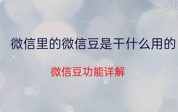 微信里的微信豆是干什么用的 微信豆功能详解